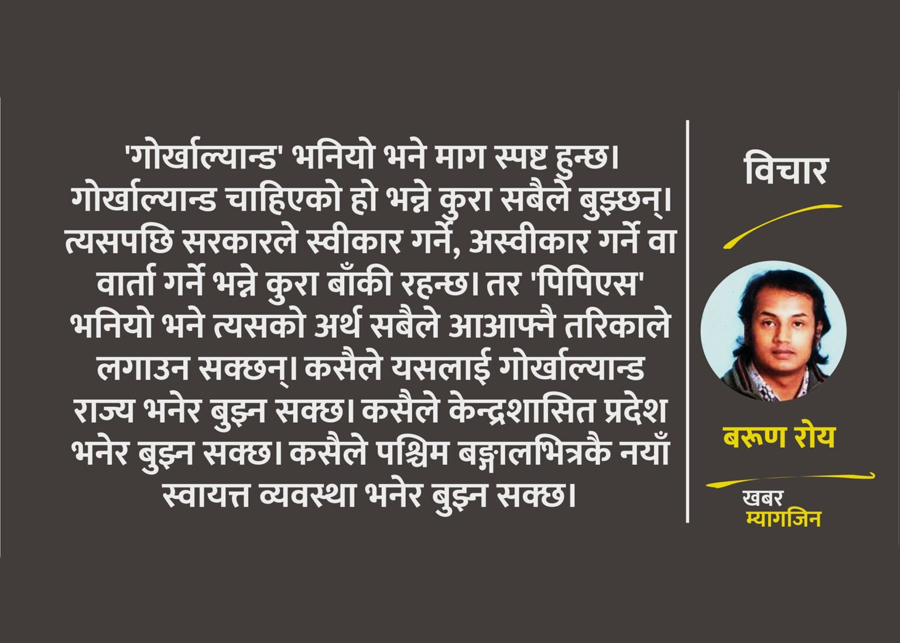 पिपिएस : शब्द मीठो, अर्थ धूमिल